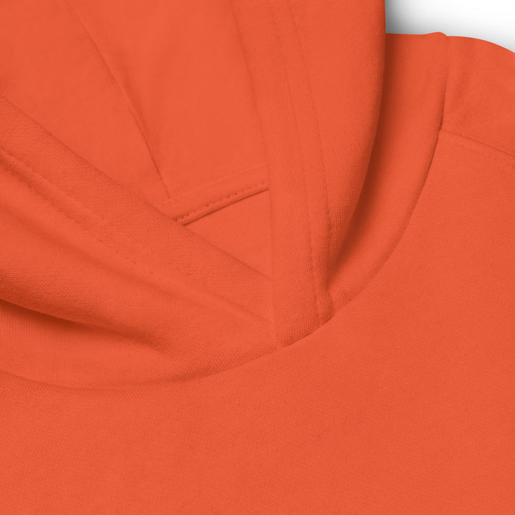 Sweat-shirt à capuche écologique brodé Lacornador® Camarguaise de mère en fille